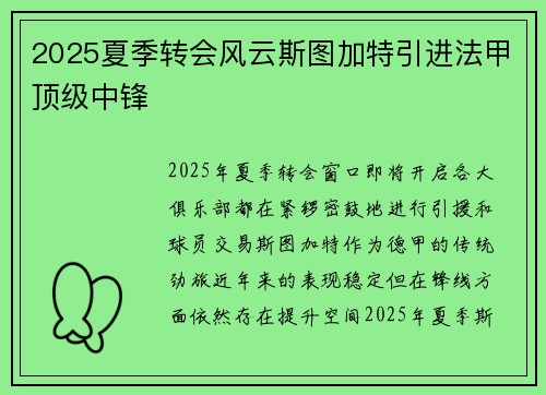 2025夏季转会风云斯图加特引进法甲顶级中锋 2025夏季转会风云斯图加特引进法甲顶级中锋